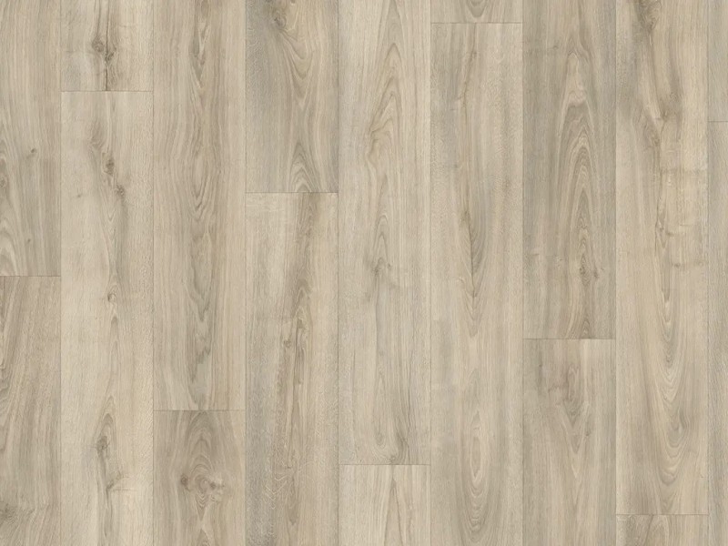 Junior 60 PUR Legend Oak M34 - PVC vinyl v metráži od IVC Group